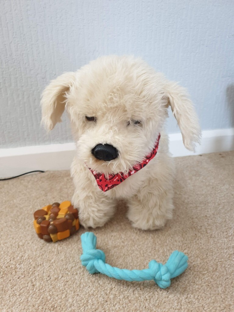 georgie the interactive puppy